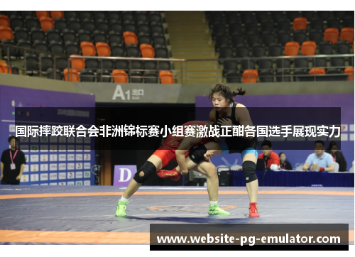 国际摔跤联合会非洲锦标赛小组赛激战正酣各国选手展现实力 国际摔跤联合会非洲锦标赛小组赛激战正酣各国选手展现实力