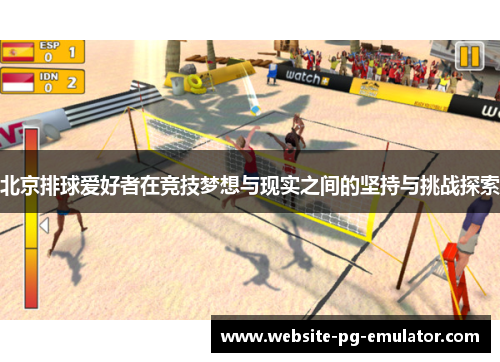 北京排球爱好者在竞技梦想与现实之间的坚持与挑战探索