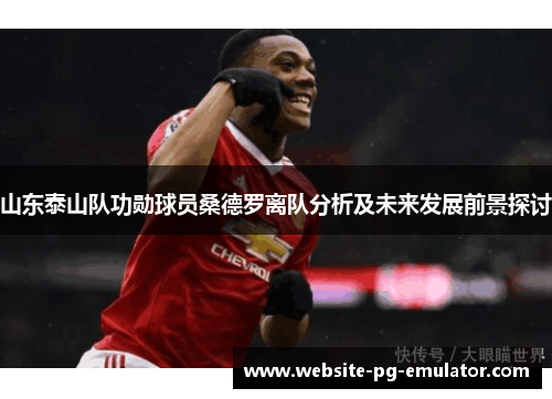 山东泰山队功勋球员桑德罗离队分析及未来发展前景探讨 山东泰山队功勋球员桑德罗离队分析及未来发展前景探讨