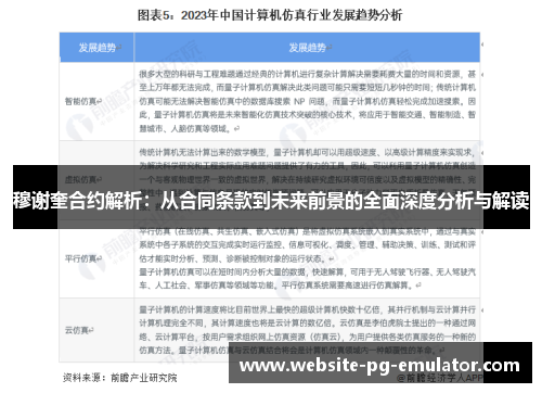 穆谢奎合约解析：从合同条款到未来前景的全面深度分析与解读