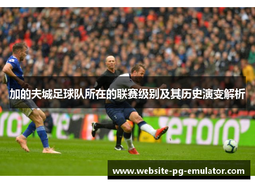加的夫城足球队所在的联赛级别及其历史演变解析 加的夫城足球队所在的联赛级别及其历史演变解析