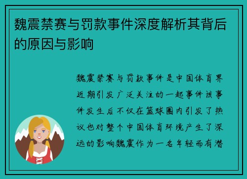 魏震禁赛与罚款事件深度解析其背后的原因与影响