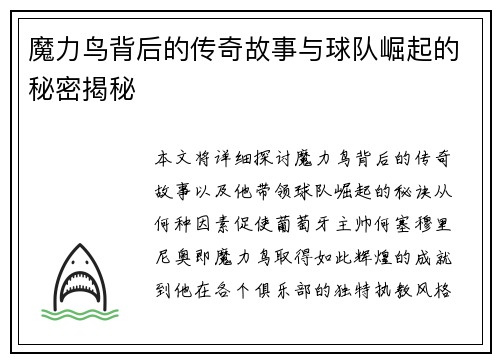 魔力鸟背后的传奇故事与球队崛起的秘密揭秘 魔力鸟背后的传奇故事与球队崛起的秘密揭秘