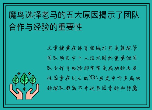 魔鸟选择老马的五大原因揭示了团队合作与经验的重要性